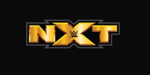 The Best NXT Matches Of 2020 According To Star Ratings