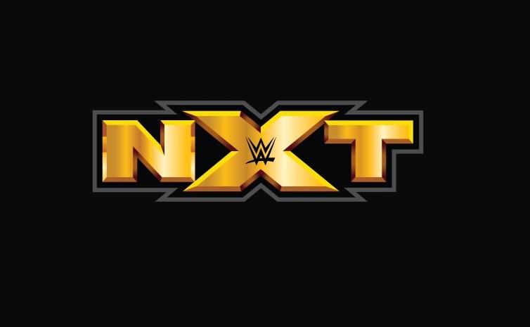 WWE vs NXT Matches That Would Be Amazing