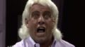 Ric Flair stories