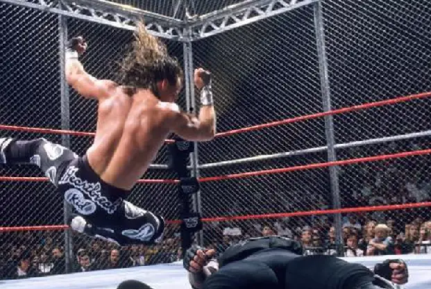 Shawn Michaels Matches With The Highest Star Ratings