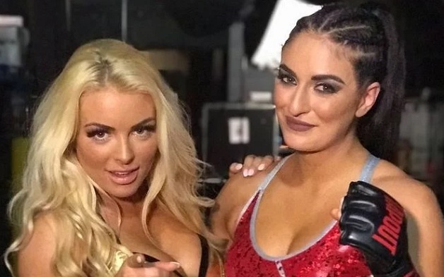 9 Possible Teams For The Women's Tag Team Division